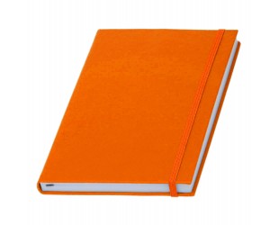 Записная книжка Туксон А5 (White Line)